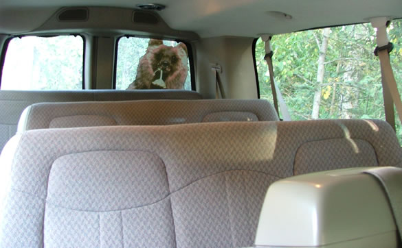 Van